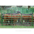 Wholesale powder coated farm horse fence